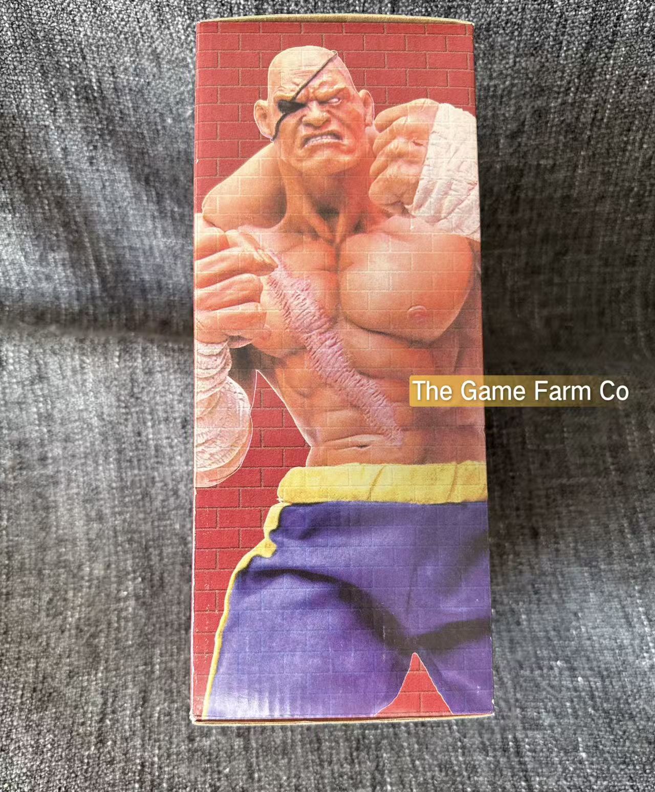 Street Fighter Sagat Statue/Figurine (BRAND NEW)