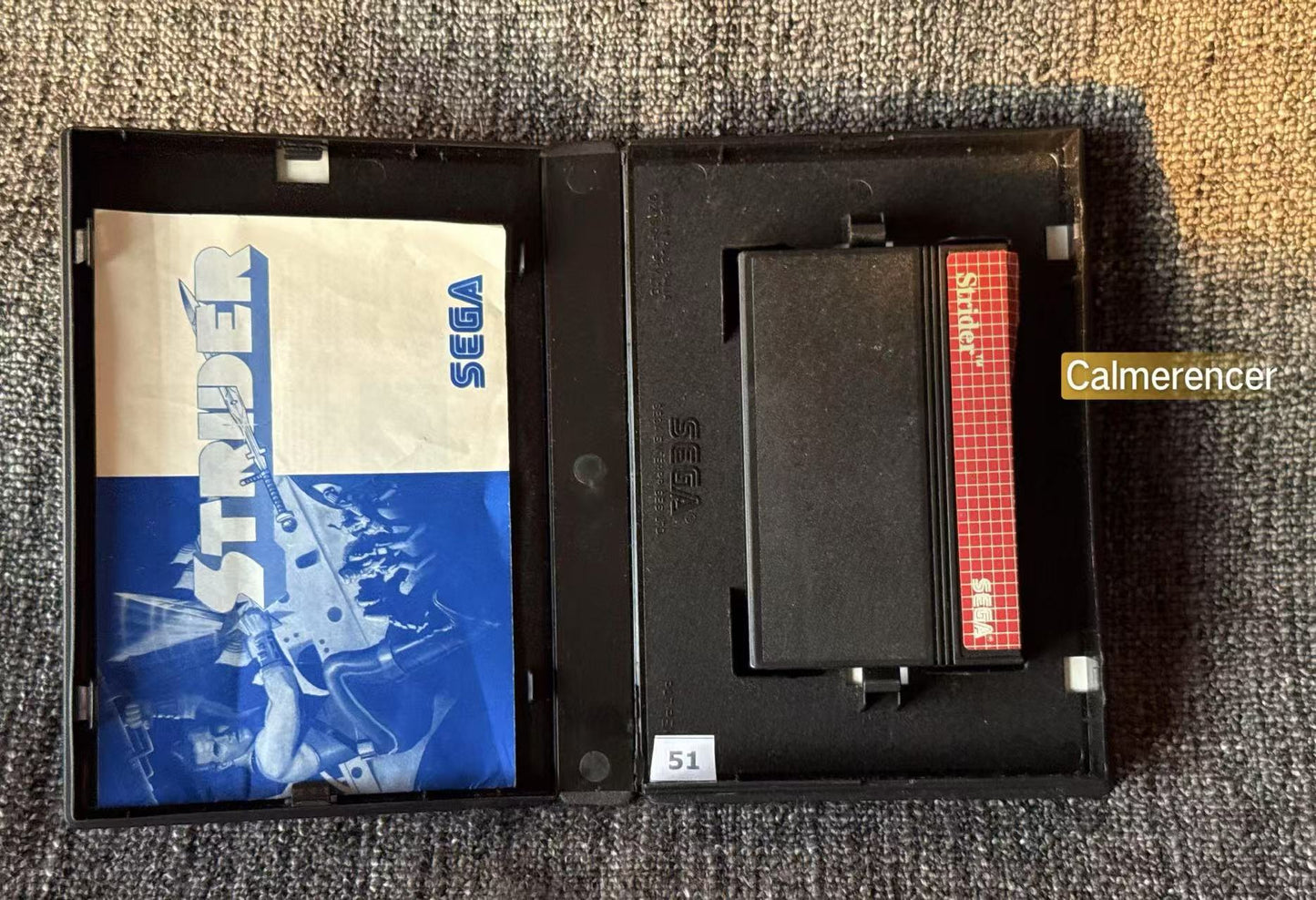 Strider Game - Sega Master System