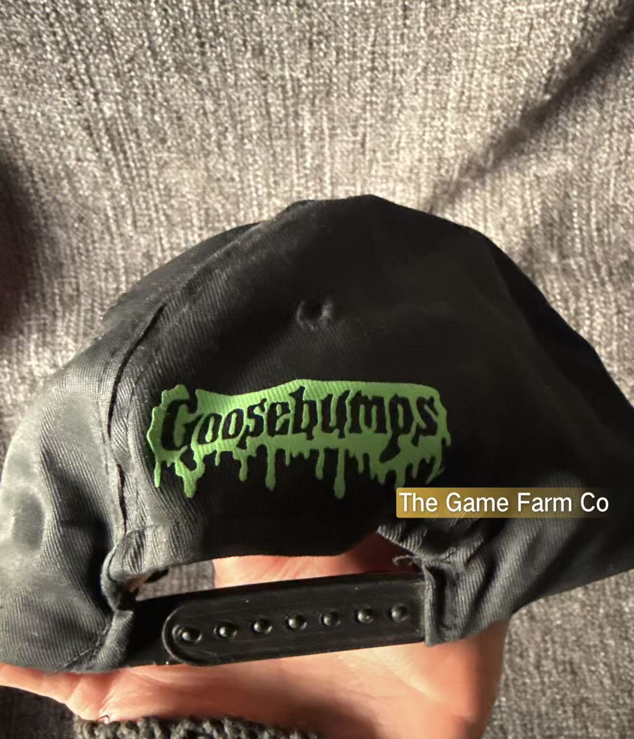 Vintage 90s Goosebumps Snapback Hat R.L. Stine Retro Book Promo Cap Used Great Condition