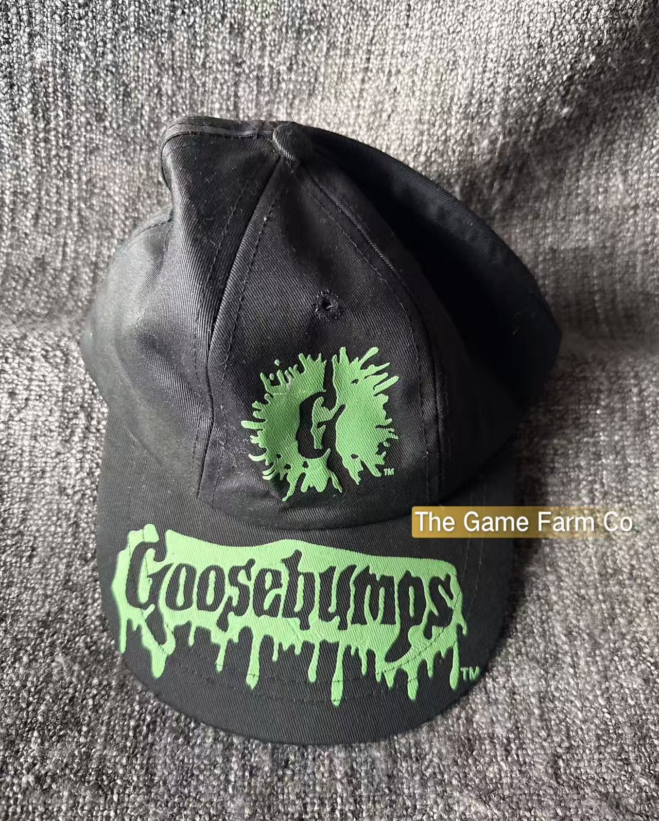 Vintage 90s Goosebumps Snapback Hat R.L. Stine Retro Book Promo Cap Used Great Condition